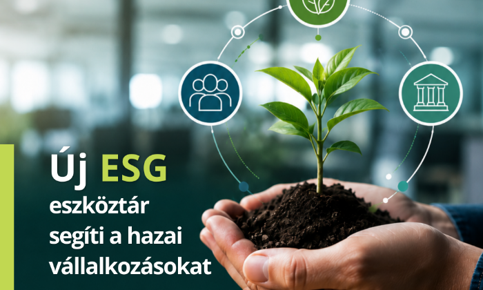 Új ESG eszköztár segíti a hazai vállalkozások felkészülését
