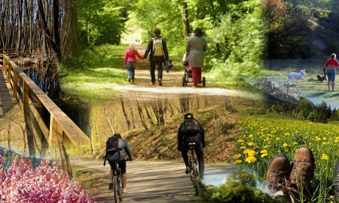 Turisztikai pályázat: Kiegészítő támogatás a KTH START beruházási vagy forgóeszköz kölcsön...