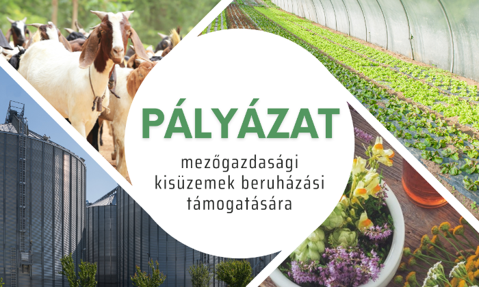 Pályázat mezőgazdasági kisüzemek beruházási támogatására