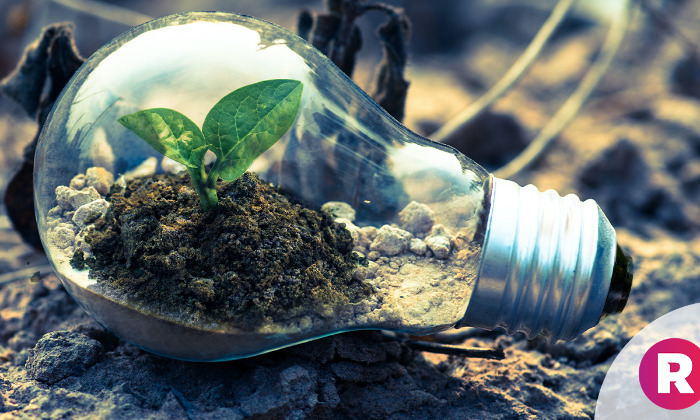 Pályázat vállalati fenntarthatóságot és körforgásos működést elősegítő demonstrációs minta...